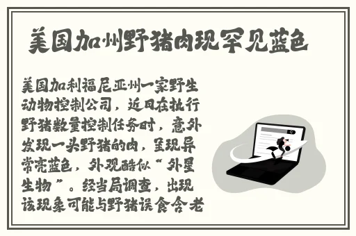 四虎影视在线看完整视频